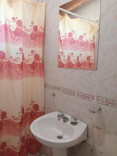 een badkamer met een wastafel en een douchegordijn bij El Pasaje in Malargüe