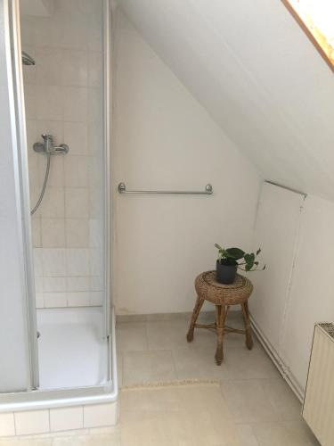 a bathroom with a shower and a plant on a stool at Gasthaus am Schloss in Karlsburg