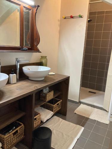 une salle de bain avec un lavabo, un miroir et une douche dans l'établissement L'Oasis de La Roquette, à Arles