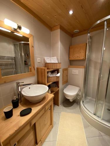 une salle de bain avec un lavabo, une douche et des toilettes dans l'établissement Studio a Montgenèvre, à Montgenèvre