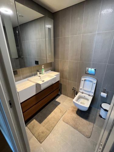 a bathroom with a toilet and a sink and a mirror at Skyland in Istanbul