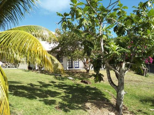 Zahrada ubytování Villa Campêche Azur