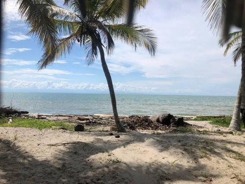 a beach with two palm trees and the ocean at ¡VILLA AZUL! LUGAR ENCANTADOR A 60 METROS DEL MAR :o ;) in Necoclí