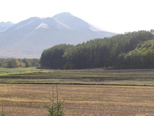 a field with a mountain in the background and a field with trees at The Sanfurano in Kami-furano