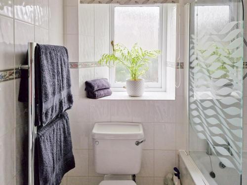 a bathroom with a toilet and a window and a plant at Stable in Delabole