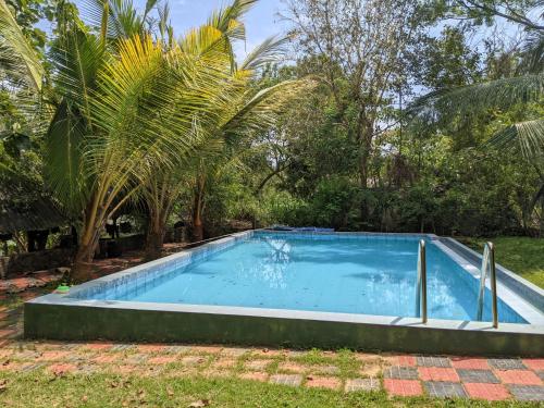 a swimming pool in a yard with palm trees at Mount Top Chalet in Tangalle