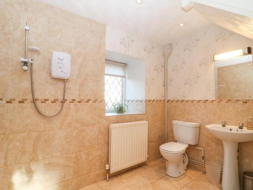 a bathroom with a toilet and a sink at Stone Wheel Cottage in Hook Norton