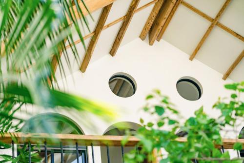 a room with a ceiling with windows and plants at Hygge Siargao in General Luna