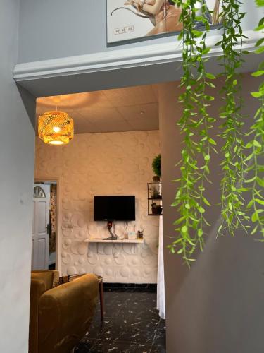 a living room with a television and a plant at Bel appartement avec petit balcon sympa in Porto-Novo