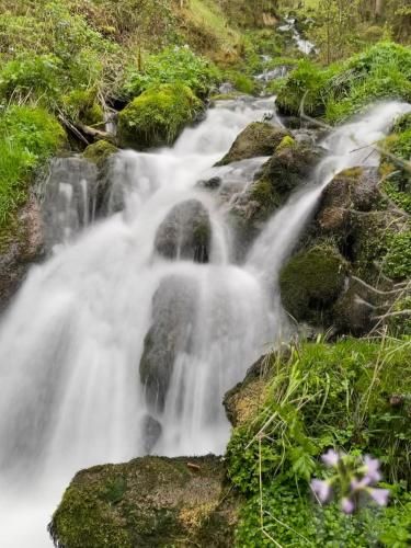 Un paisaje natural cerca de la casa vacacional