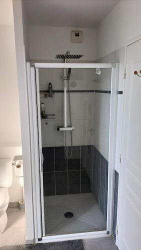 une douche avec une porte vitrée dans une salle de bain dans l'établissement Beau Duplex à Port Fréjus, à Fréjus