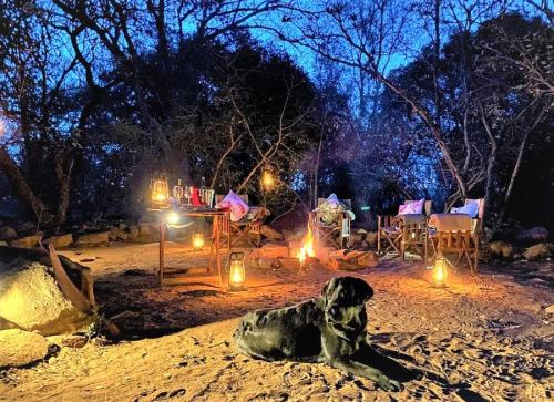 a dog laying on the ground in the dirt at night at Jembisa Bush Home in Melk River