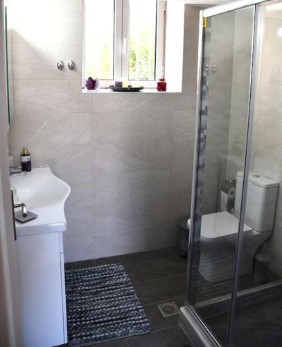 a bathroom with a shower and a sink and a toilet at Sitos Home in Sparti