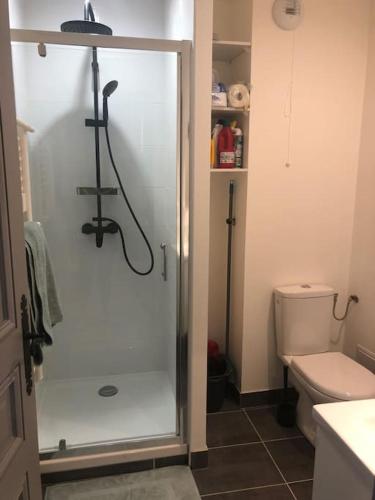 une salle de bain avec douche et toilettes dans l'établissement Appartement Duplex 8 personnes proche télécabines, à Ax-les-Thermes