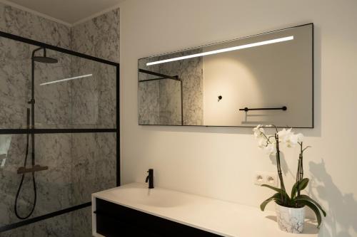 a bathroom with a sink and a shower and a mirror at UNIEK appartement - mooiste en hoogste uitzicht op Antwerpen! - incl gratis parking in Antwerp