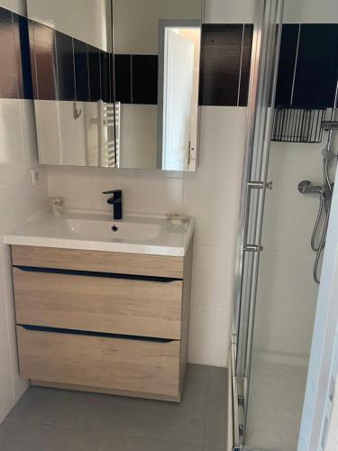 un baño con lavabo y ducha en La Ciotat vue mer emplacement exceptionnel avec parking, en La Ciotat