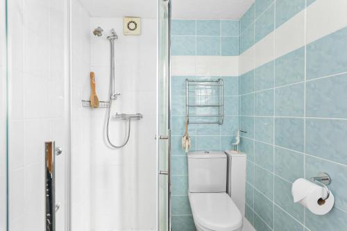 a bathroom with a toilet and a shower at Pippin Cottage - Character cottage with the spirit of the sea in Salcombe