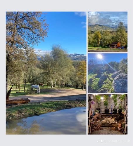 Off-Grid 1-Bed Cabin in Yokuts Valley – Photos 2