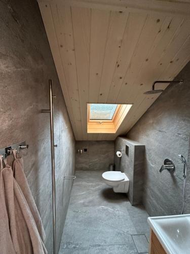 baño con aseo y tragaluz en Apartament Krystynka Giewont, en Poronin