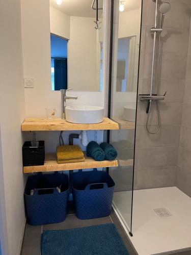 La salle de bains est pourvue d'un lavabo et d'une douche. dans l'établissement Blu'in - Mérignies, à Mérignies