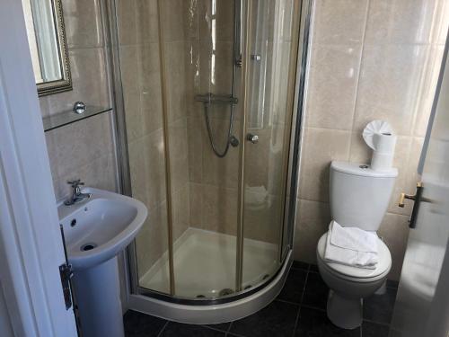 La salle de bains est pourvue d'une douche, de toilettes et d'un lavabo. dans l'établissement Southcote Accommodation, à Tintagel