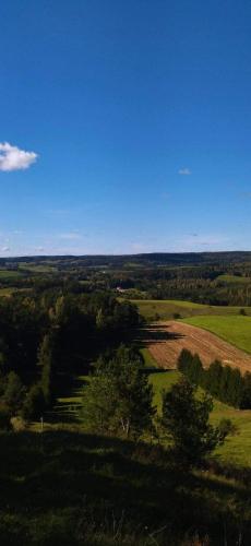 a view of a field with trees on a hill at Zielona Dolina in Rutka Tartak
