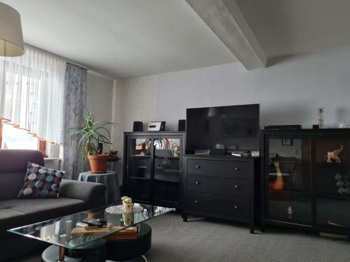 een woonkamer met een bank en een flatscreen-tv bij Schöne Ferienwohnung mit Balkon und Terrasse in ruhiger Lage in Helsa