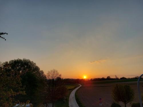 a road with the sunset in the background at Landpartie in Freckenfeld