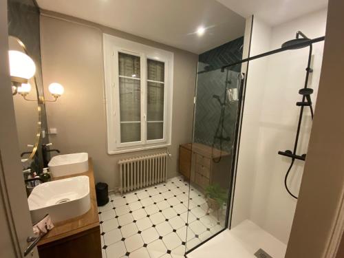 une salle de bain avec douche et lavabo dans l'établissement Chambre d'hôte 24 Heures du Mans 2025, au Mans