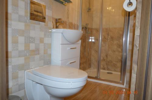 Ένα μπάνιο στο Apartamenty i pokoje u Kryni