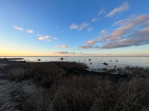 a beach with rocks in the water at sunset at Reet und Meer Beckerwitz in Hohenkirchen