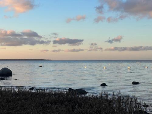 a large body of water with people swimming in it at Reet und Meer Beckerwitz in Hohenkirchen