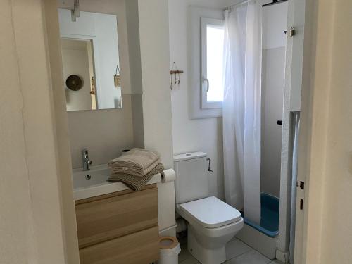 une salle de bain avec toilettes, lavabo et miroir dans l'établissement Studio à 20m de la plage, à Palavas-les-Flots