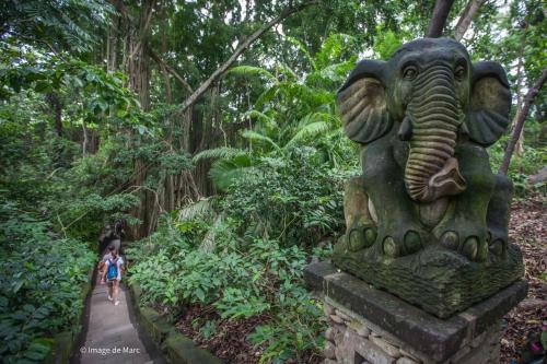 a woman walking down a path in a forest with an elephant statue at Dewangga Ubud in Ubud