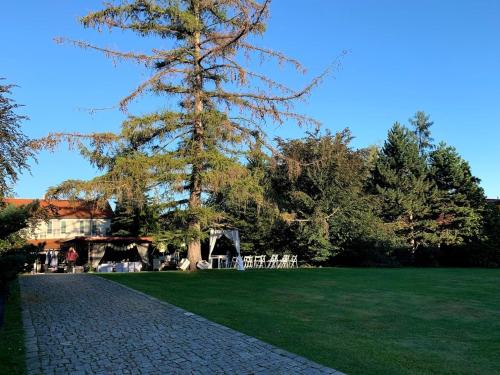 a large pine tree on a brick walk way at Alt pension in Prague