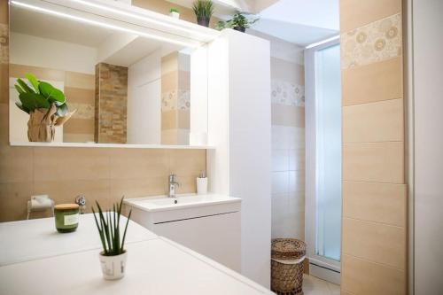 een badkamer met een wastafel en een spiegel bij Nusha's place in Zagreb