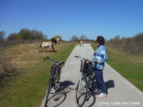 a young child standing next to two bikes on a path at dutchduochalet2 in Heenweg