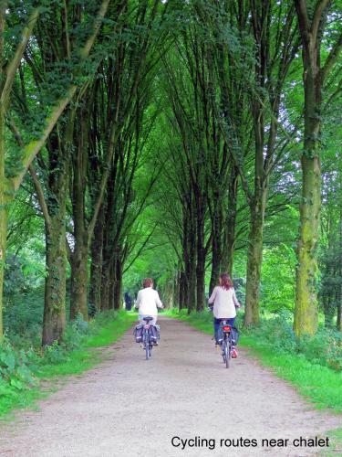 two people riding bikes down a dirt road at dutchduochalet2 in Heenweg