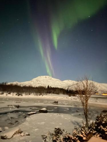 an image of the aurora in the sky over a snowy field at Sand Beachhouse in Sand