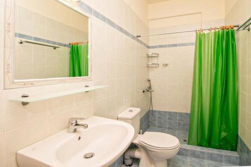 a bathroom with a sink and a toilet and a green shower curtain at M. Houses 5 in Agios Romanos