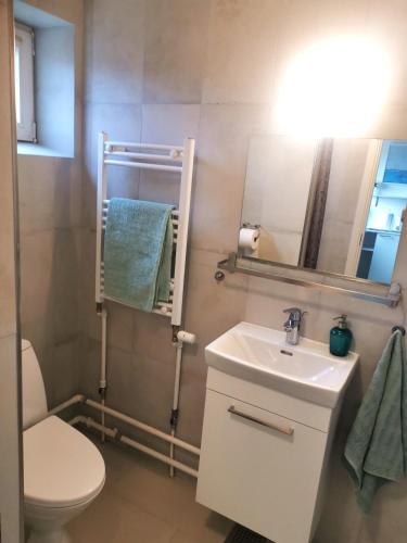 a bathroom with a sink and a toilet and a mirror at Copenhagen, Perfect apt. near the beach. in Copenhagen