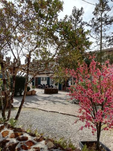 un gruppo di alberi con fiori rosa in un cortile di L'Auberge de Lugos a Lugos