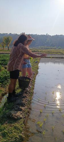 two women standing next to a body of water at Kaewma farmstay in Ban Khuang Kom