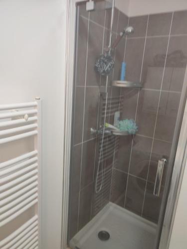 une douche avec une porte vitrée dans une salle de bain dans l'établissement Appartement proche aéroport Orly, à Athis-Mons