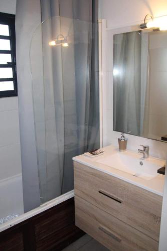 W łazience znajduje się umywalka i prysznic. w obiekcie Le Petit Nid d'Hélène w mieście Sainte-Clotilde