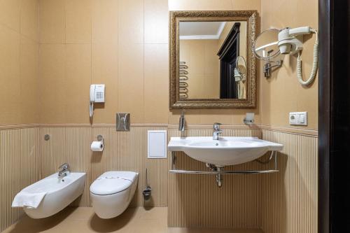 a bathroom with a sink and a toilet and a mirror at Карпатська Ружа in Plav'ya