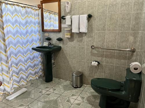 Hotel Villas Vilma في فورتونا: حمام به مرحاض أخضر ومغسلة