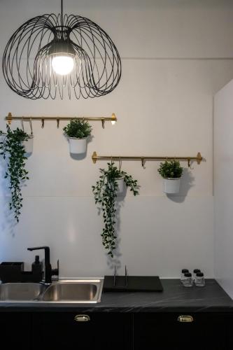 Apartment 7