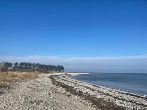 a rocky beach with trees on the side of the water at Hyggeligt og lyst feriehus nær stranden i Klint in Nykøbing Sjælland