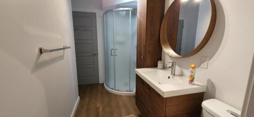 a bathroom with a sink and a mirror and a shower at Le Nid doré sur le lac (Golden Nest on the lake) in Val des Monts